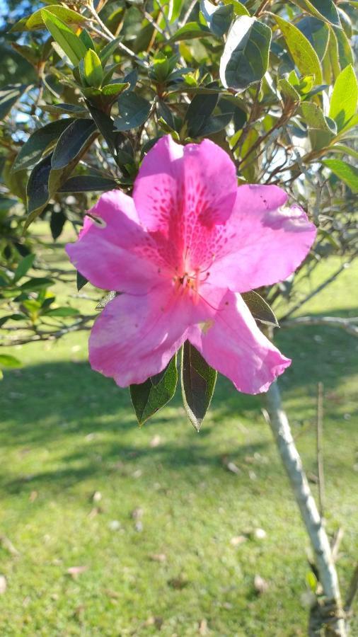 Pousada Do Sobrado Bage Bagian luar foto